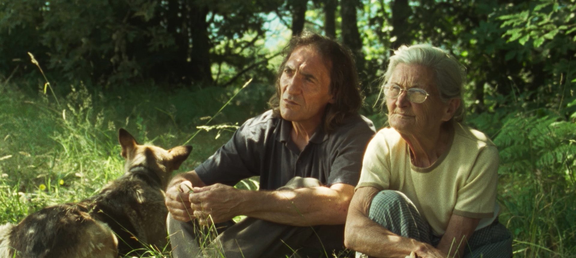 cinema virtual mostra internacional