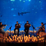 Um dos concertos Candlelight realizados pelo mundo. Foto Divulgação.