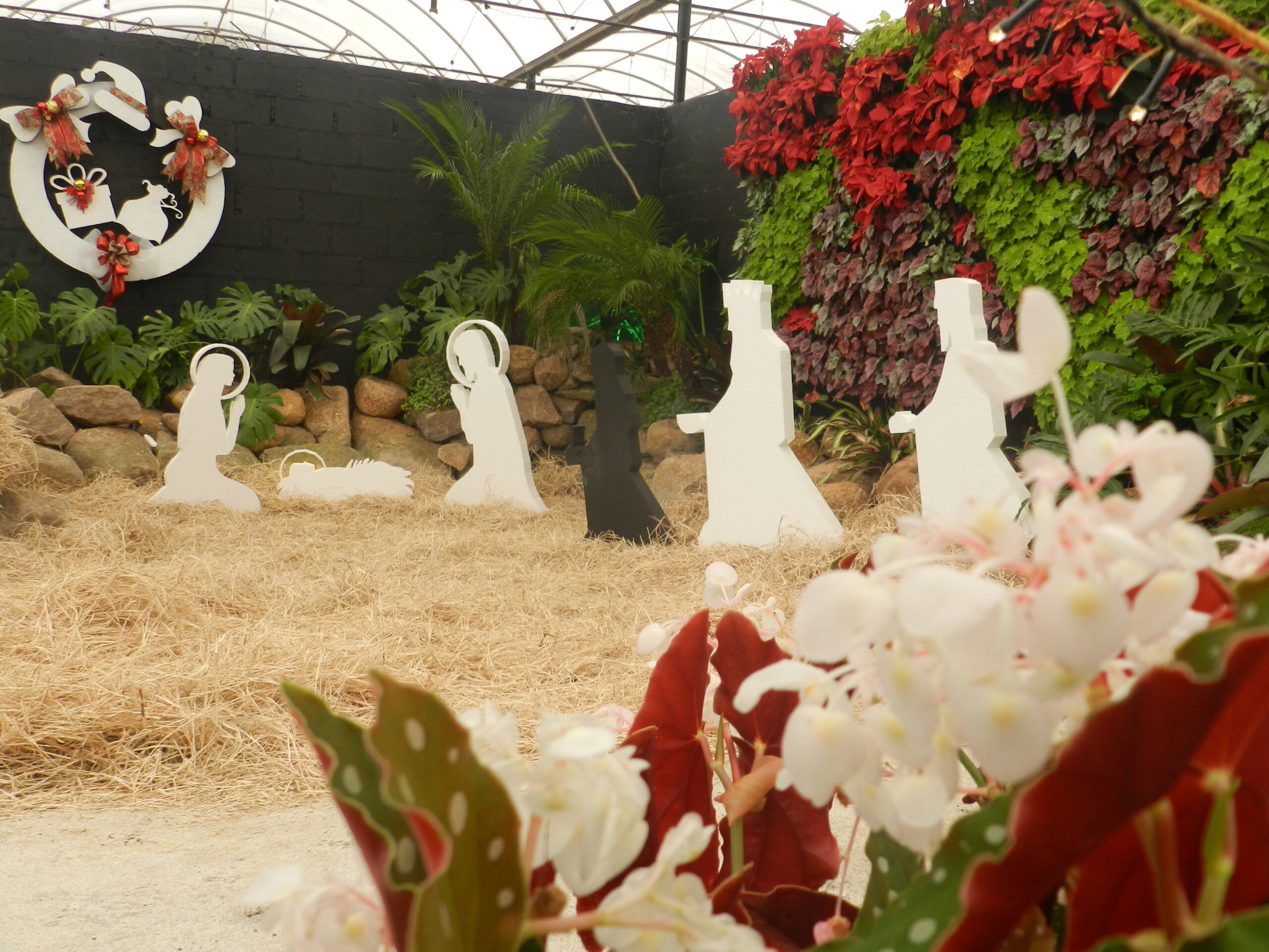 jardins-em-festa-VeraLonguini-2-12--83-
