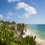 a view of a beach with palm trees and the ocean in the background