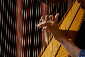 Recital-de-Estudantes---Harpa-Foto-Paulo-Rogerio-Ribeiro---Arquivo-Conservatorio-de-Tatui