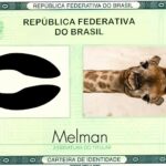 54577971176-fca23e3f68-c (1)