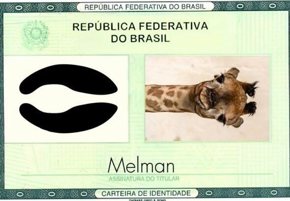 54577971176-fca23e3f68-c (1)