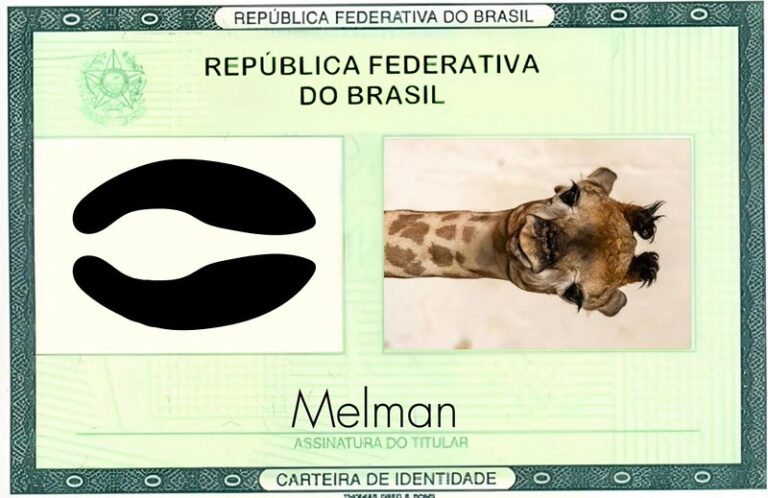 54577971176-fca23e3f68-c (1)