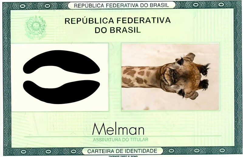 54577971176-fca23e3f68-c (1)