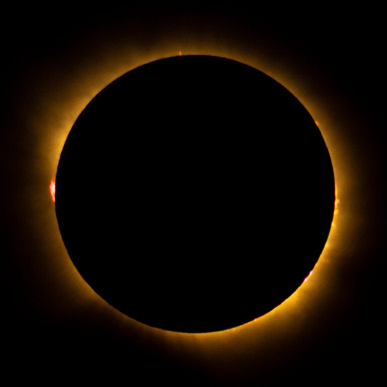 55460002532_6f0708953e_k